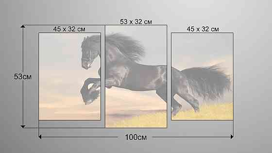 Модульная картина Лошадь Art-87_3 Киев