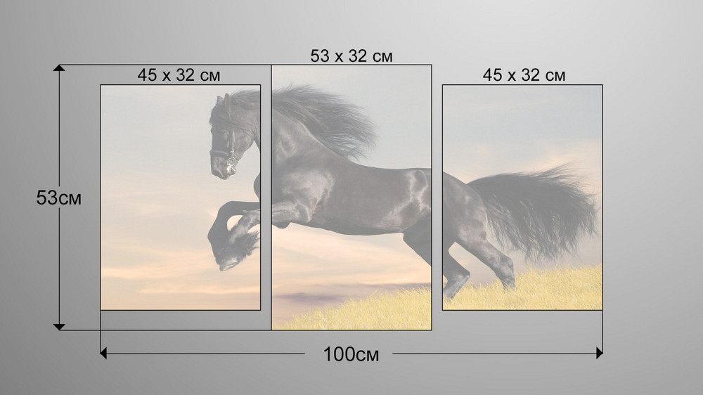 Модульная картина Лошадь Art-87_3 Киев - изображение 3