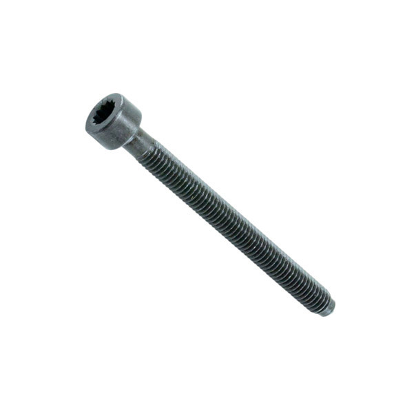 Болт VAG 1.9, 2.0TDI 03- (VAG) форсунки Мукачево - фото 1