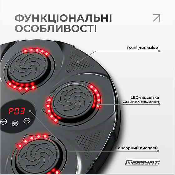 Боксерський тренажер EasyFit настінний музичний з підсвіткою Коломыя