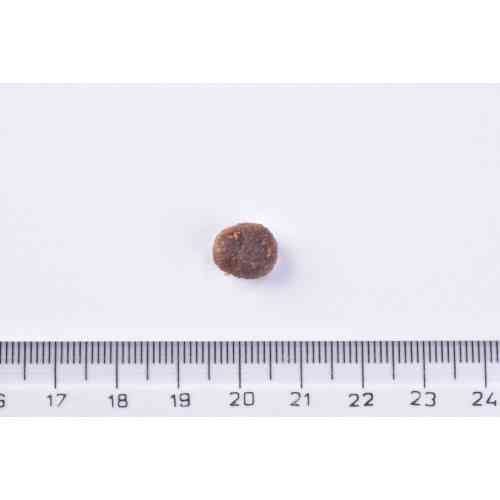 Сухой корм Brit Premium Cat by Nature Sterilized Salmon для стерилизованных кошек, с лососем, 800 г Киев