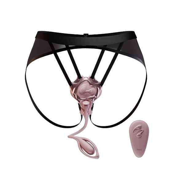 Вібратор-трусики з пультом UPKO UEROS зі знімним віброяйцем, рожевий Sex Aura Київ