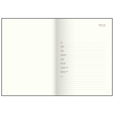 Тижневик Buromax датований 2026 TRIUMPH, А5 синій (BM.21104-02) Вінниця - фото 5