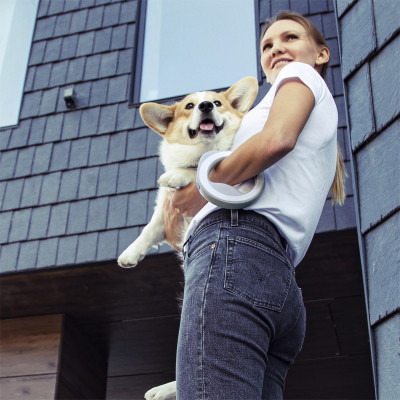 Повідок для собак WAUDOG R-leash світловідбиваюча стрічка XS-M до 40 кг 2.9 м білий (812715) Вінниця - фото 11