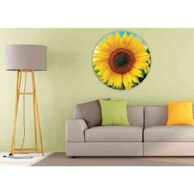 Пазл Educa Подсолнечник 800 элементов (6337245) Винница