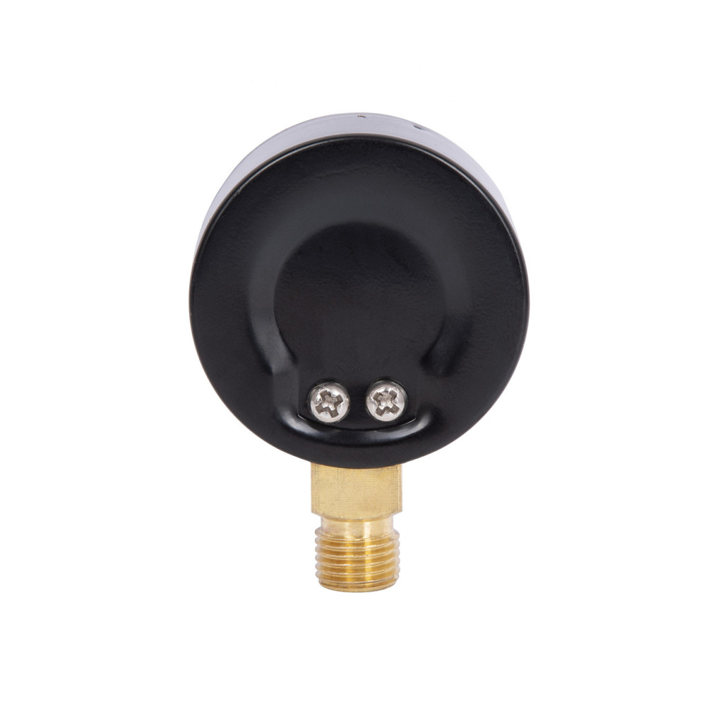 Манометр Thermo Alliance Standart 10 барів 1/4", нижнє під'єднання SD17010B Київ - фото 6
