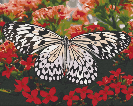 Картина по номерам. Art Craft 