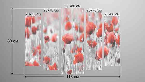 Модульная картина Маки Art-129_5 Киев