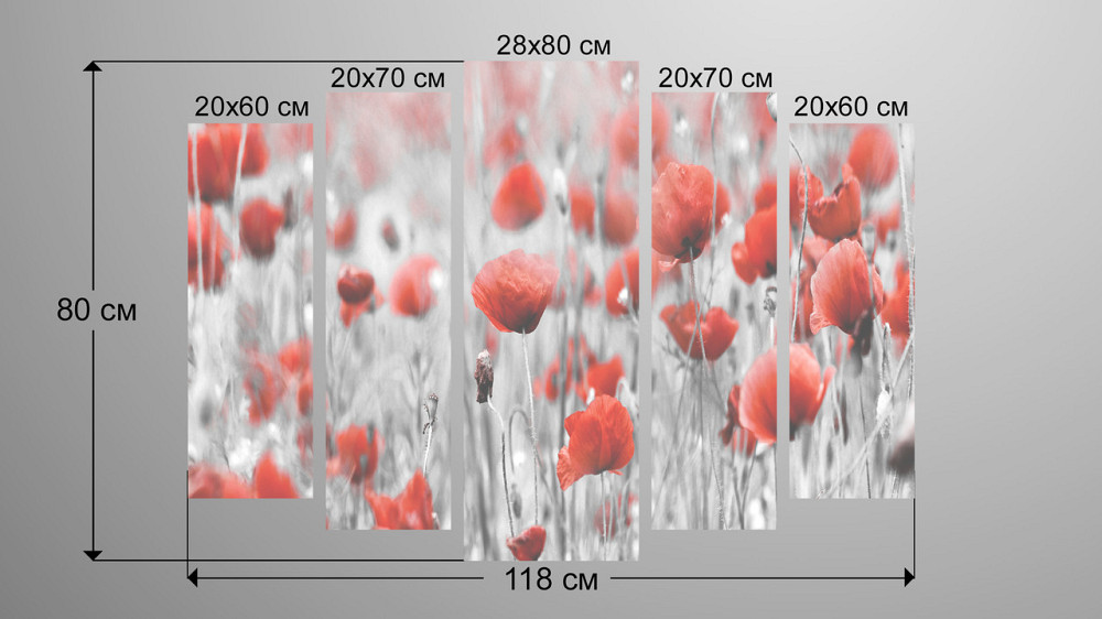 Модульная картина Маки Art-129_5 Киев - изображение 3