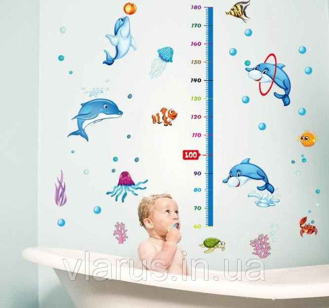 Дитяча наклейка ростомір Дельфіни Київ - фото 4