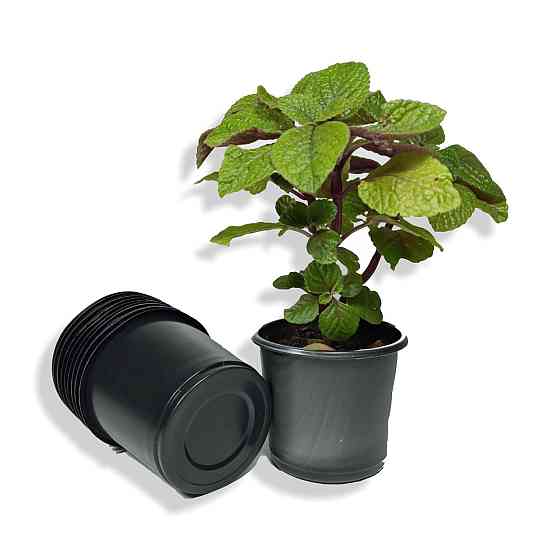 Стакан для розсади 230 мл пластиковий чорний міцний, ящик 3500 штук Харків