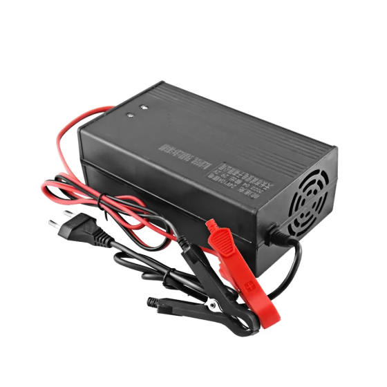 Зарядное устройство для аккумулятора LiitoKala Lii-29.2V/10A LiFePO4 Черный Киев