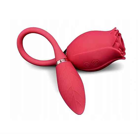 Вибростимулятор ROSE Miss Coyness USB Sex Aura Киев
