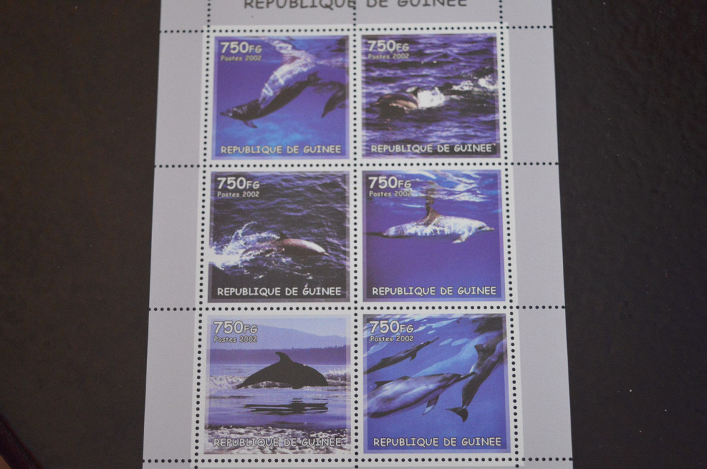 Гвинея. Фауна. Блок. 2015 год (В-7) Полтава - изображение 1