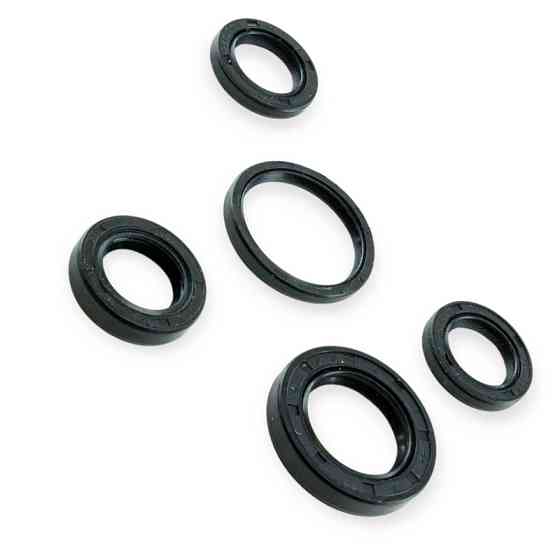 Набір Minsk-Viper CB 125, 150 сальників Мукачево