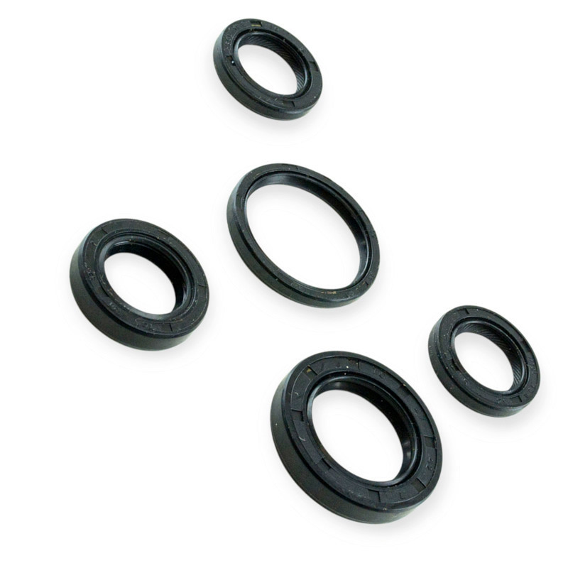 Набір Minsk-Viper CB 125, 150 сальників Мукачево - фото 2