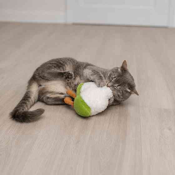 Игрушка Trixie для кошек Цветная капуста XXL плюш с кошачьей мятой кремовый/зеленый 18 см Киев