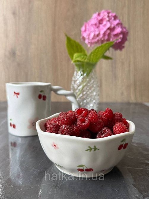 Чашка крухоль кераміка Olens "Вишні-бантики" 400 мл 8030-424 Київ - фото 3