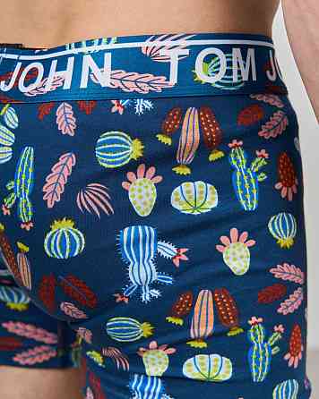 Боксеры мужские Tom John - Кактусы 2200-17 L Киев