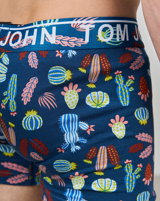 Боксеры мужские Tom John - Кактусы 2200-17 L Киев - изображение 6