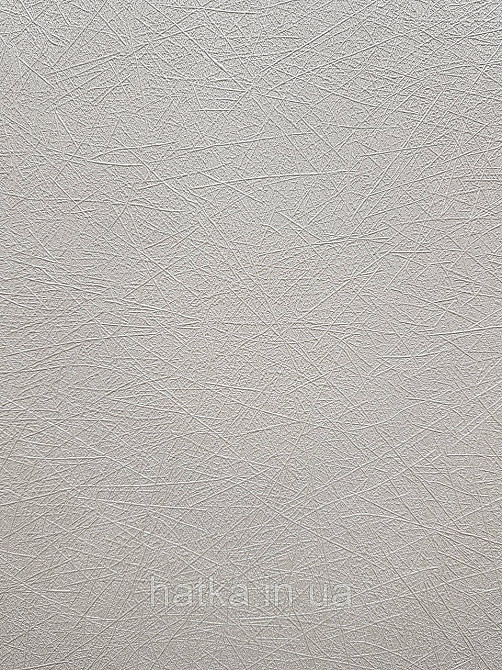 Шпалери метрові вінілові на флізеліні A.S.Creation Flowers Symphony1.06x10 смужки павутинка світло-сірі перламутр Київ - фото 2