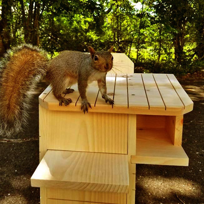 Будиночок для білок "Чилім" каррі Миколаїв - фото 5