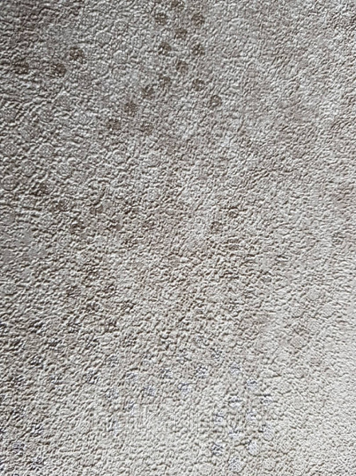 Шпалери вінілові на флізелін GranDeco Dorina A45604 метрові однотонні абстракція пісочний з оливковою Київ - фото 3