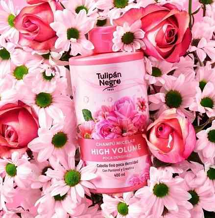 Міцелярний шампунь для об'єму волосся Tulipan Negro 400 мл Київ
