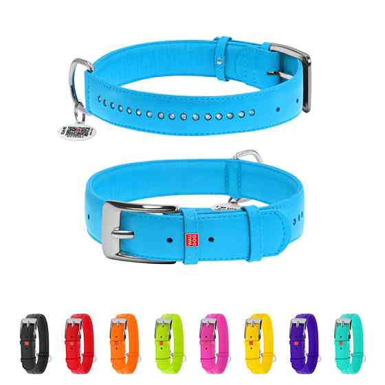 Нашийник для собак шкіряний WAUDOG Glamour з QR паспортом, подвійний зі стразами, S, Ш 15 мм, Д Коломия