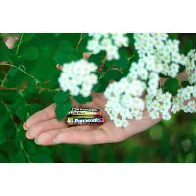 Батарейка Panasonic AAA LR03 Pro Power * 2 (LR03XEG/2BP) Винница