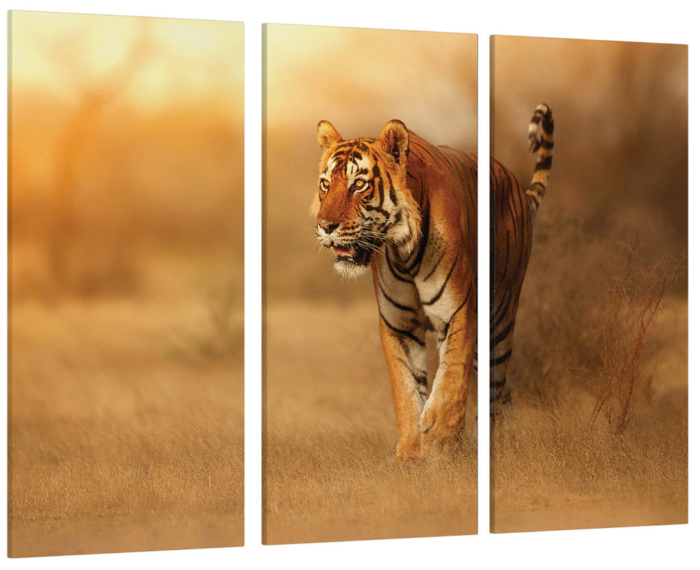 Модульна картина Природа Тигр Art-183_XXL Київ - фото 1