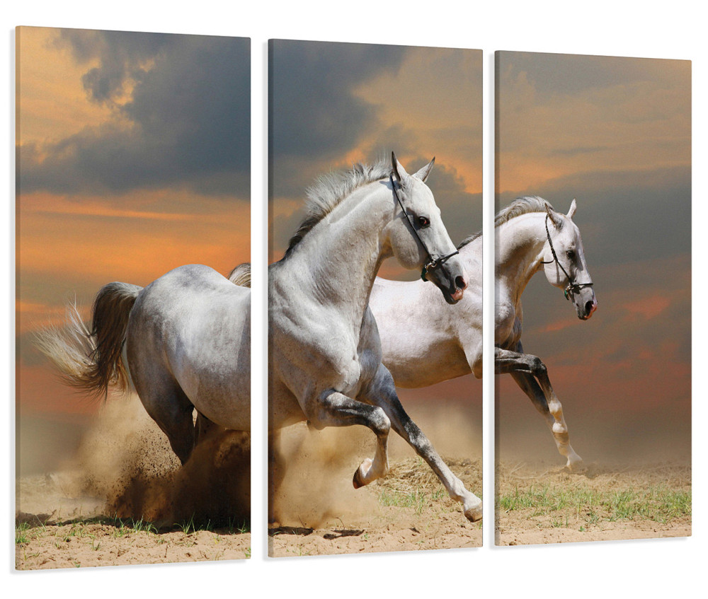 Модульна картина Коні Art-81_XXL Київ - фото 1