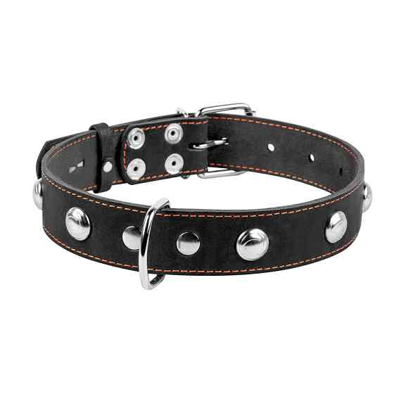 Нашийник "CoLLaR" одинарний з прикрасами (ширина 35мм, довжина 48-63см) чорний Коломыя