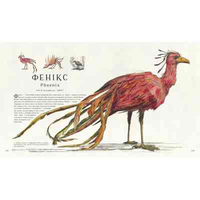 Книга Фантастичні звірі і де їх шукати. Велике ілюстроване видання - Джоан Ролінґ А-ба-ба-га-ла-ма-га (9786175851432) Вінниця