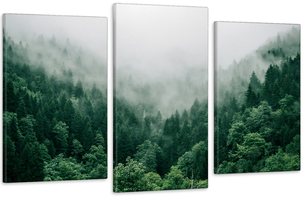 Модульная картина в гостиную / спальню Гори Art-603_3 100x150 см Киев - изображение 1