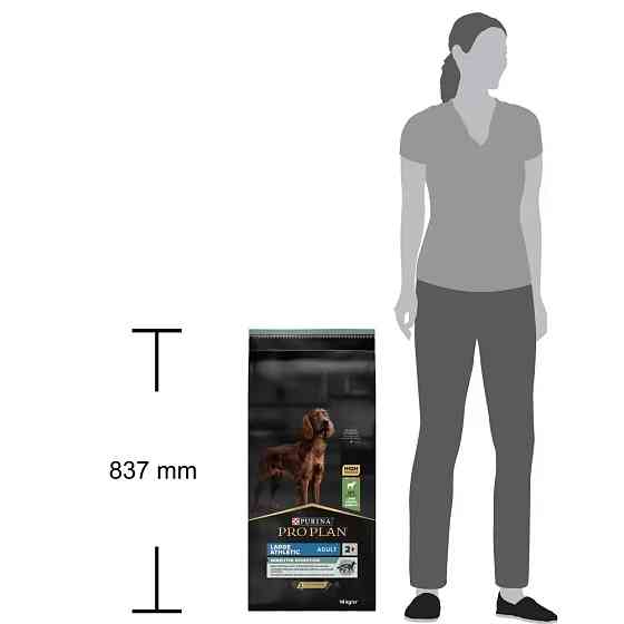 Сухий корм PRO PLAN Large Athletic Adult 2+ Sensitive Digestion для дорослих собак великих порід атлетичної статури, з чутливим травленням, з ягням, 1 Київ