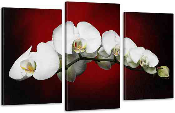 Модульна картина Коліри Орхідея Art-135_3 70x130 см Київ