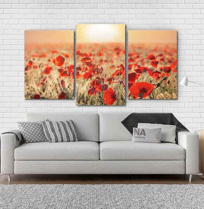 Модульна картина Природа Маки Art-64_3 Київ - фото 2