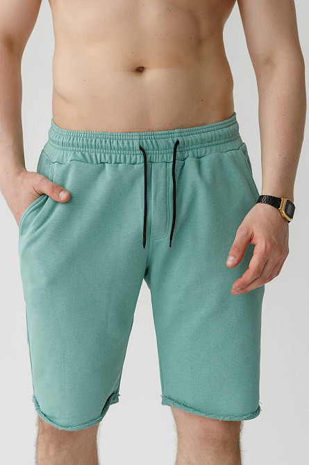 Шорти чоловічі трикотажні Фісташковий M Харків - фото 6