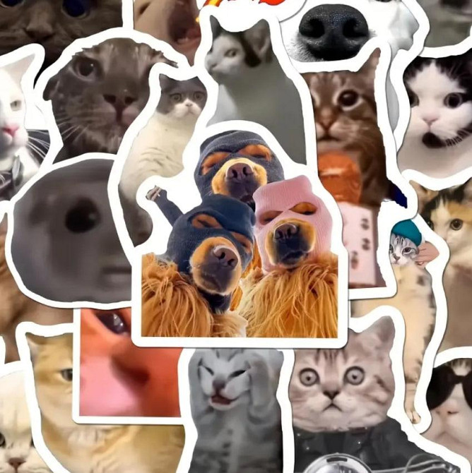 Набір наліпок з мемами про смішних котів (100 шт.) з коробкою для зберігання, стикербомбінг коти Київ - фото 2