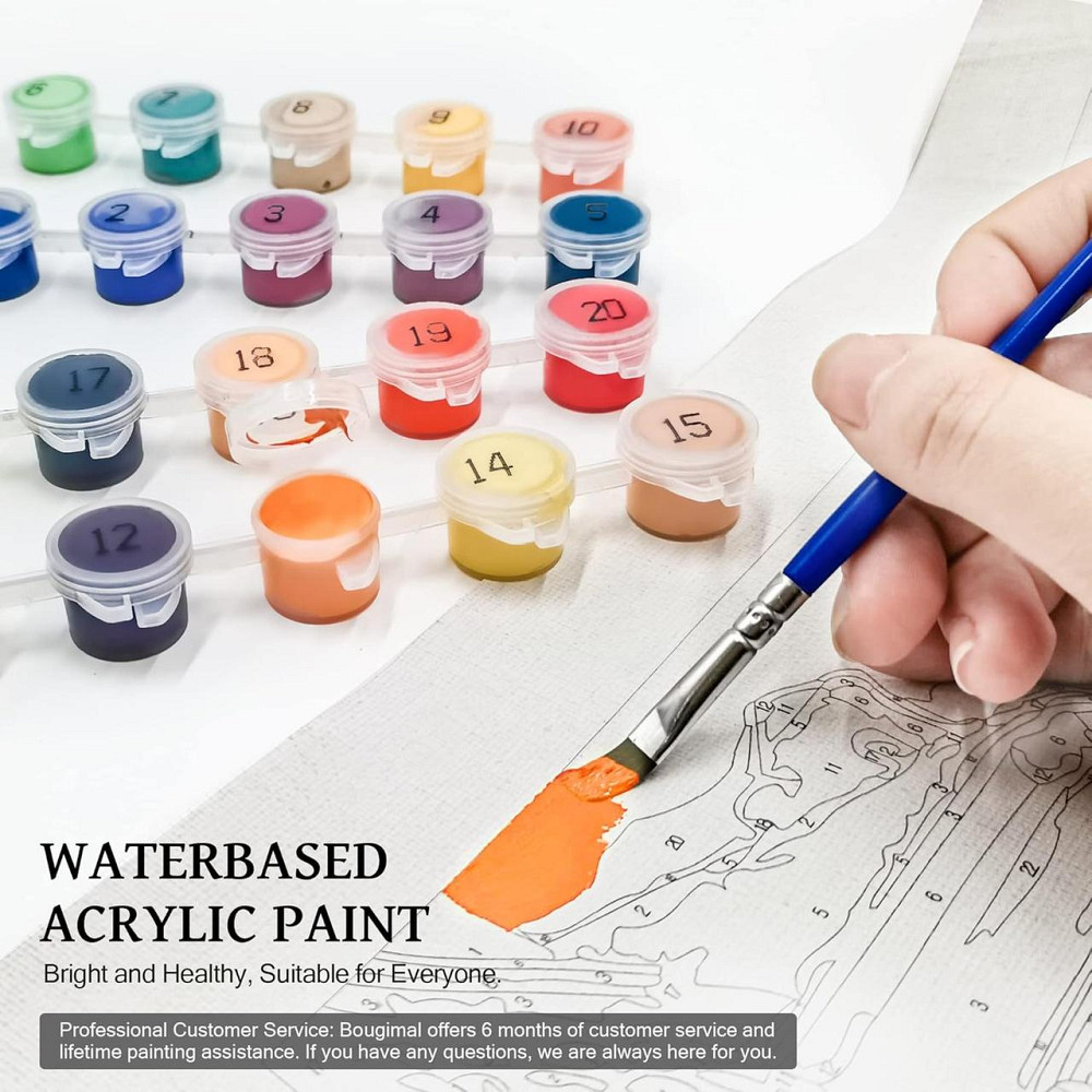 Картина по номерам Bougimal 