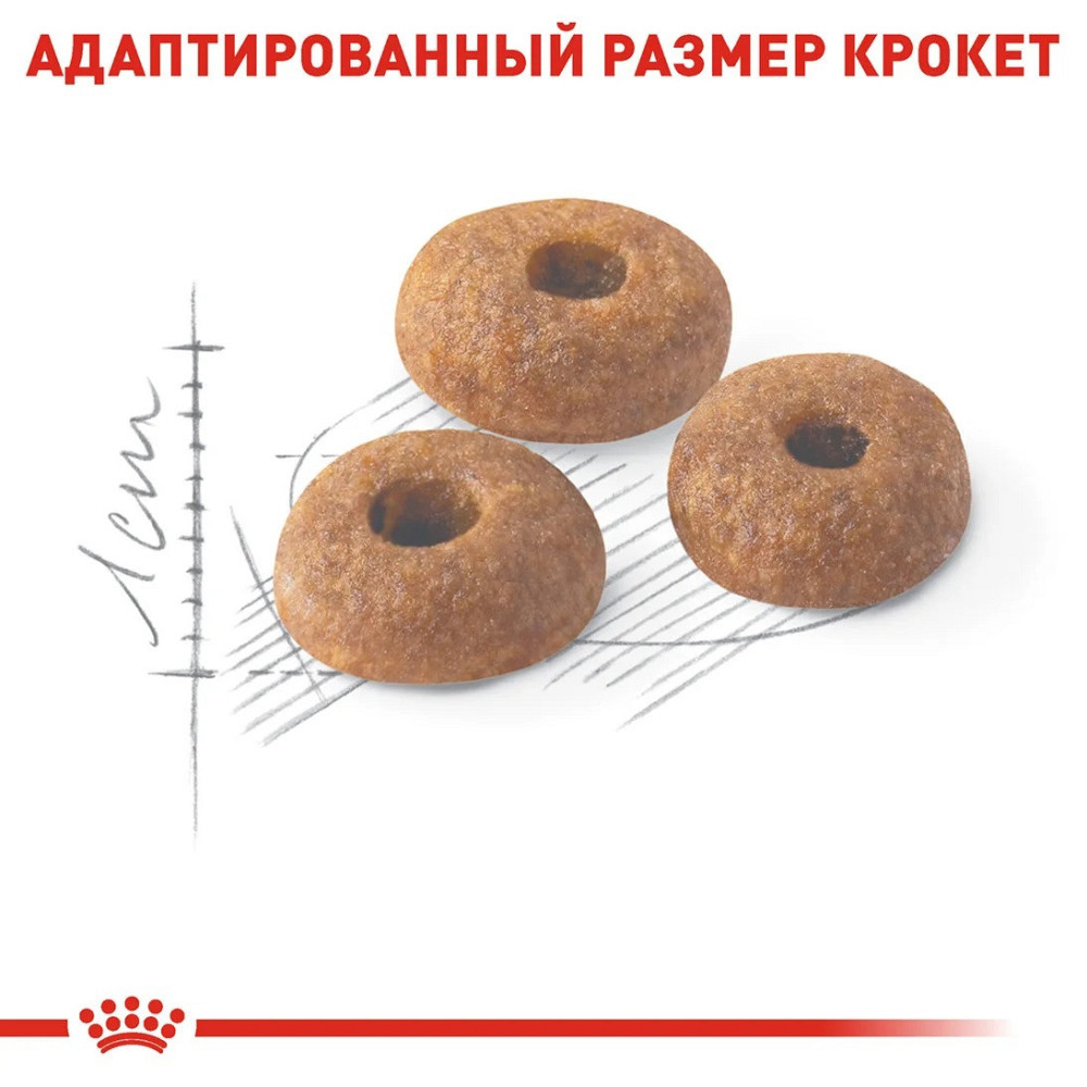Роуал Canin FIT 32 (Рояв Канін Фіт 32) сухий корм для дорослих котів віком від 12 місяців до 7 років 4 кг. Запоріжжя - фото 4