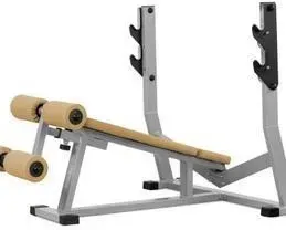 Тренажер Mastersport Jp-12D - Do Wyciskania Pod Kątem W Dół Київ