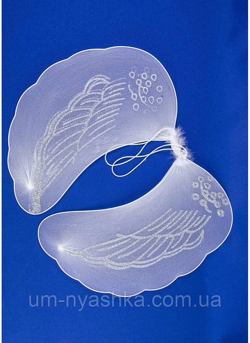 Крила Ангела 48*35 Кривий Ріг - фото 2