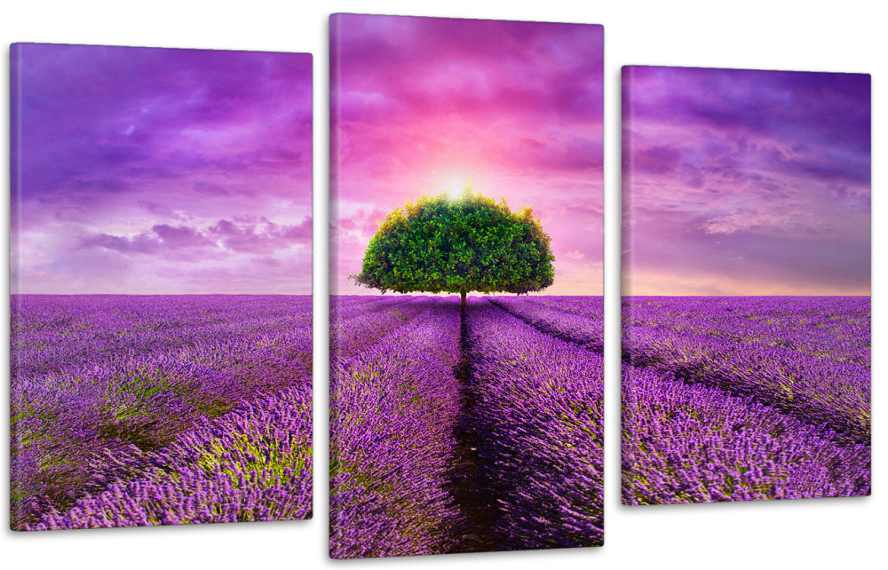 Модульная картина в гостиную / спальню    Лавандове поле 100x150 см Киев - изображение 1