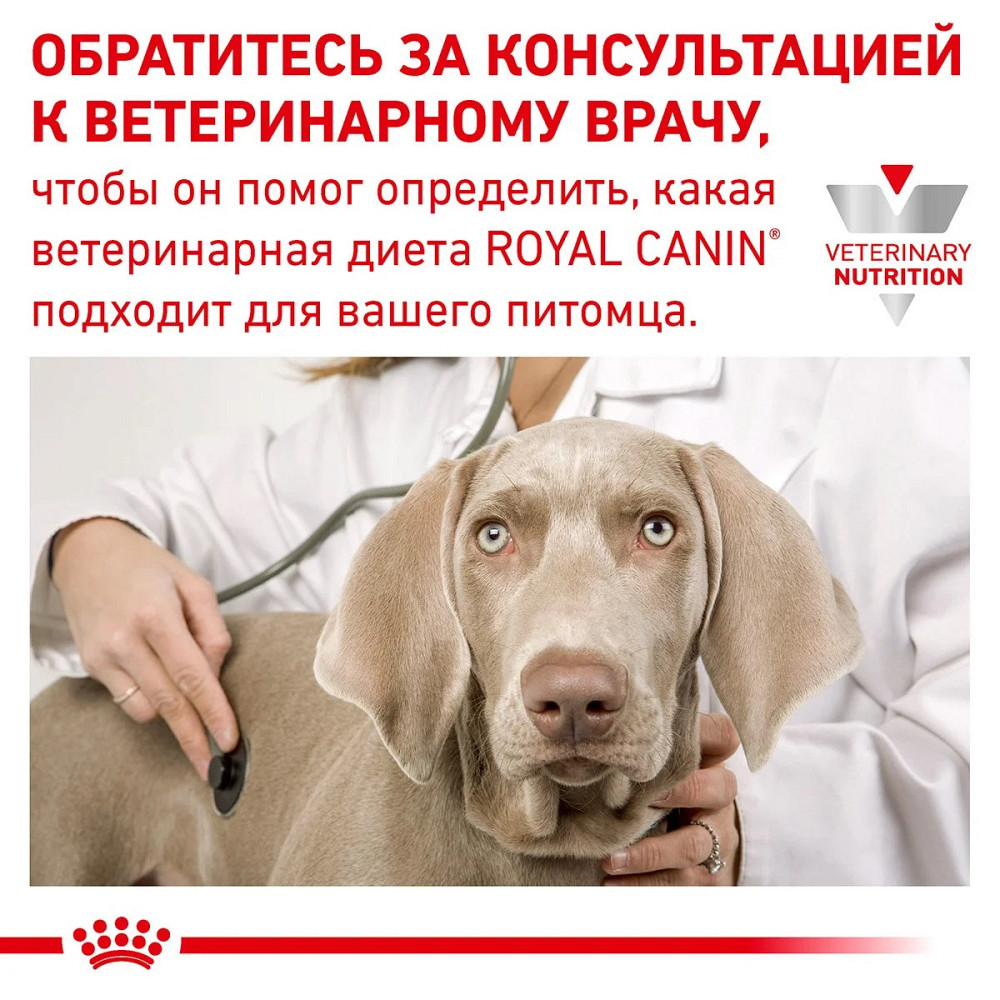 Royal Canin Recovery 12 шт (Роял Канін Рекавері) вологий корм для собак і кішок для відновлення після хвороби Запоріжжя - фото 6