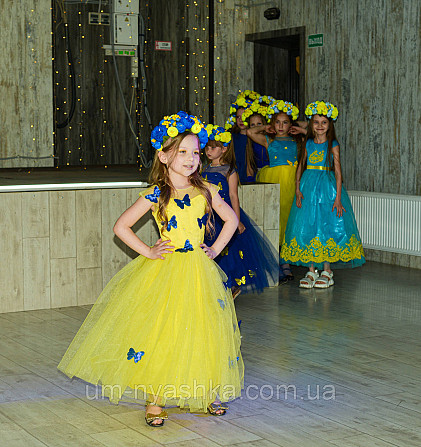 Святкова сукня з метеликами в патріотичних кольорах Кривий Ріг - фото 1