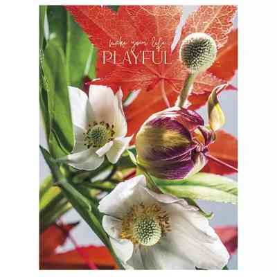 Зошит Школярик А5 Student лінія 80 аркушів (A5-080-5074L) Вінниця