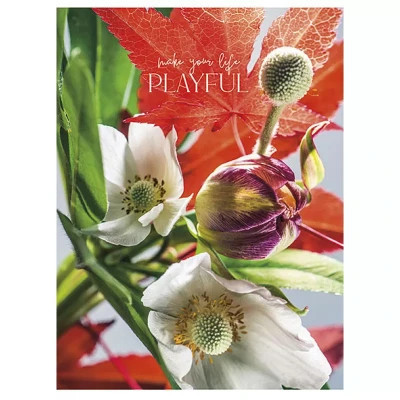 Зошит Школярик А5 Student лінія 80 аркушів (A5-080-5074L) Вінниця - фото 4