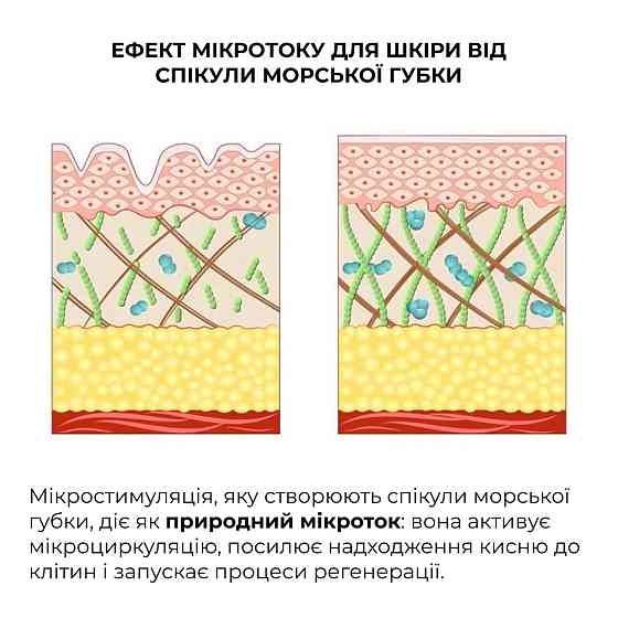 Сироватка для глибокого оновлення шкіри Hillary DeepRenew Trio Serum, 30 мл Київ